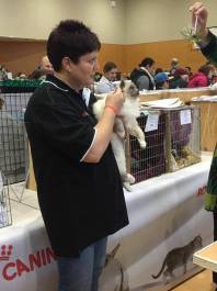 Shadow Nationals 2017