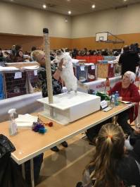 Shadow Nationals 3rd place